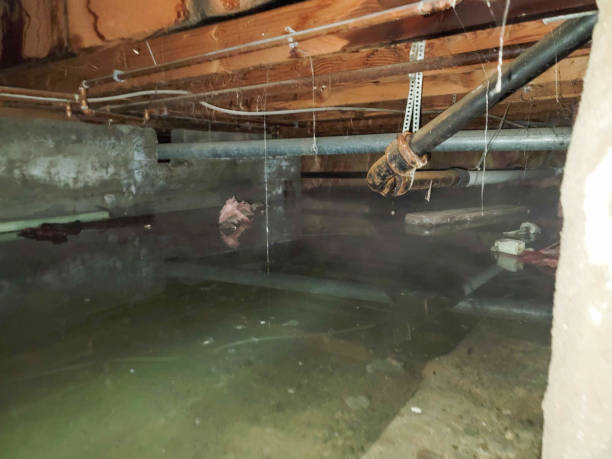  Brecksville, OH Water damage restoration Pros
