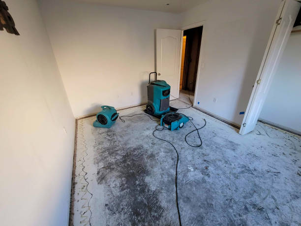Best Water damage restoration near me  in Brecksville, OH