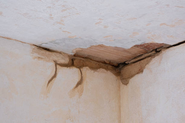 Best Flood damage cleanup  in Brecksville, OH
