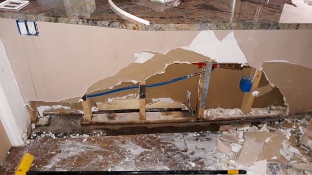 Best Flooded house restoration  in Brecksville, OH