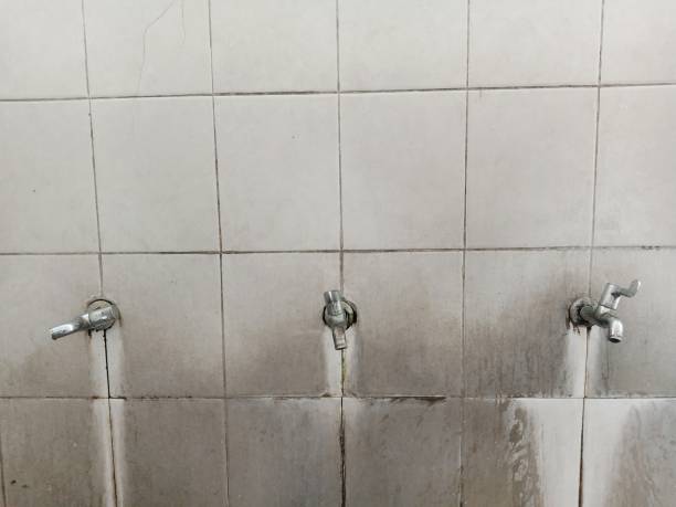 Best Water damage restoration near me  in Brecksville, OH