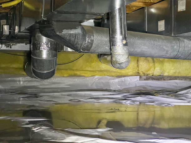 Best Water damage contractors near me  in Brecksville, OH