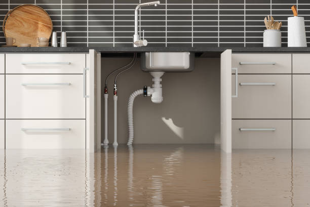 Best Water damage cleanup near me  in Brecksville, OH